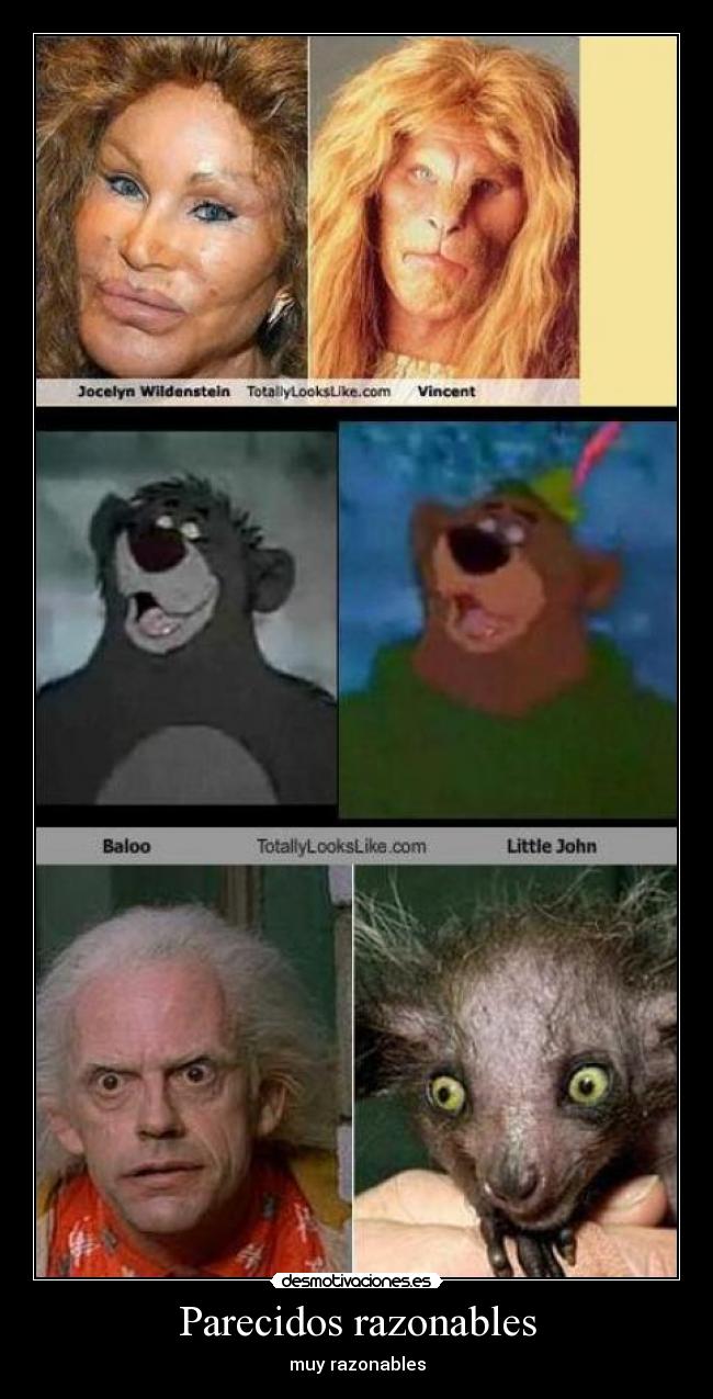 Parecidos razonables - 