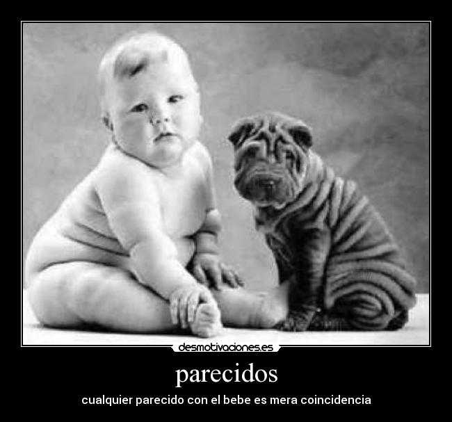 parecidos -