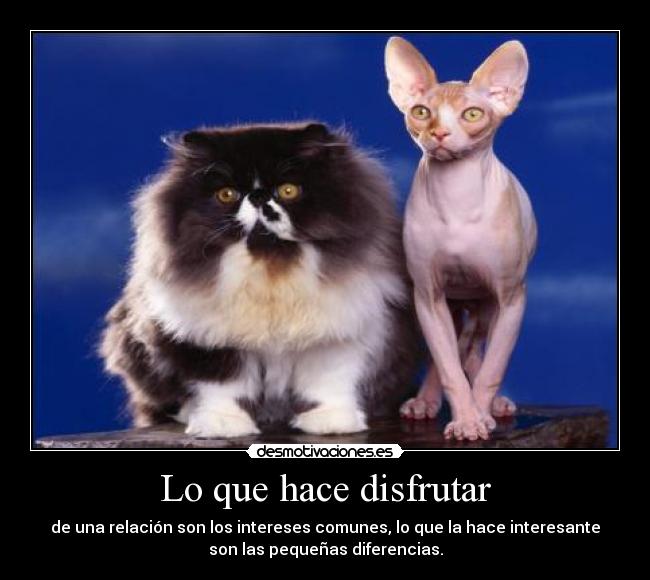 Lo que hace disfrutar - de una relación son los intereses comunes, lo que la hace interesante
son las pequeñas diferencias.
