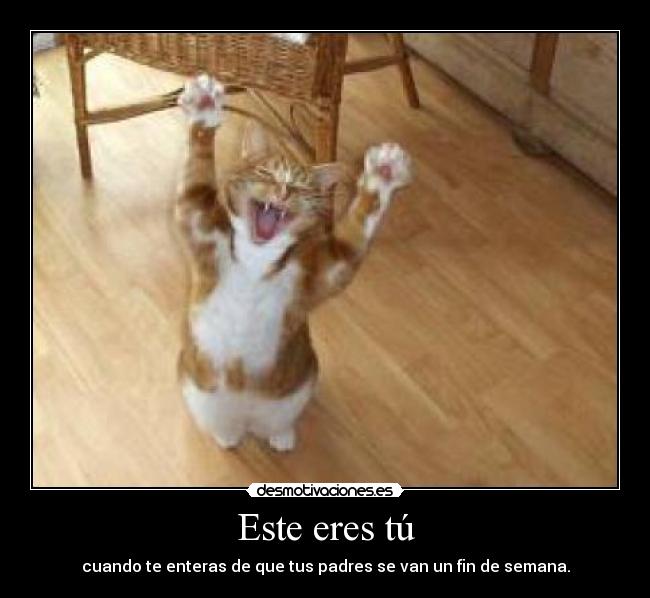 Este eres tú - cuando te enteras de que tus padres se van un fin de semana.