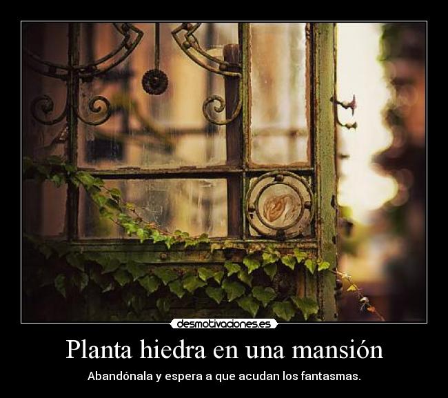 Planta hiedra en una mansión -