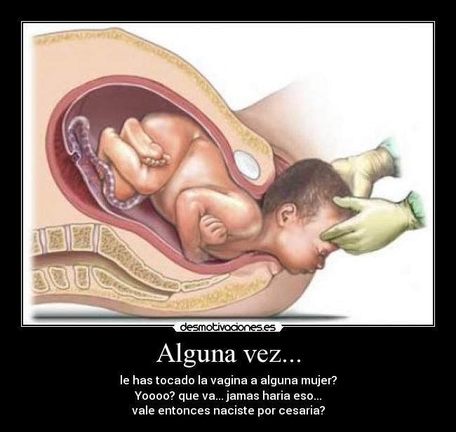 Alguna vez... -