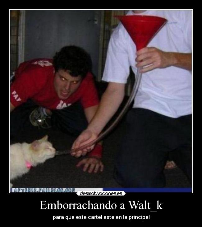 Emborrachando a Walt_k - para que este cartel este en la principal