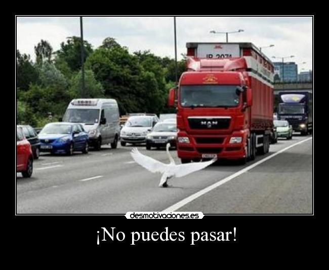 carteles pasar gandalf pajaro camion desmotivaciones