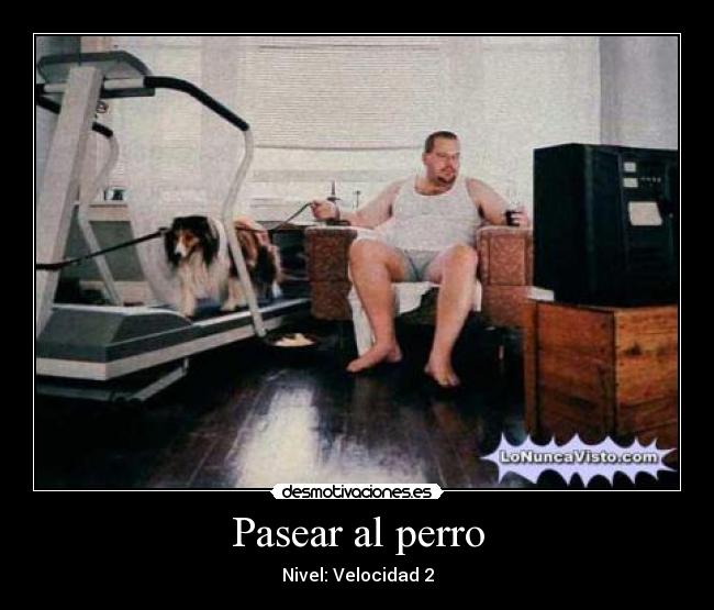 Pasear al perro -