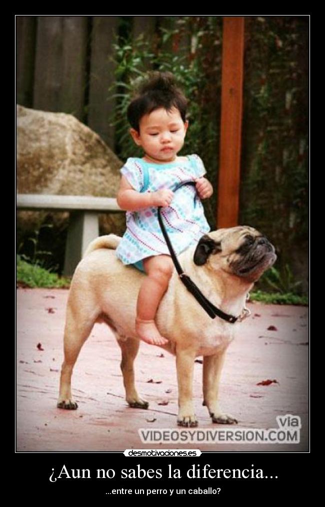 carteles dannyesku99 desmotivaciones