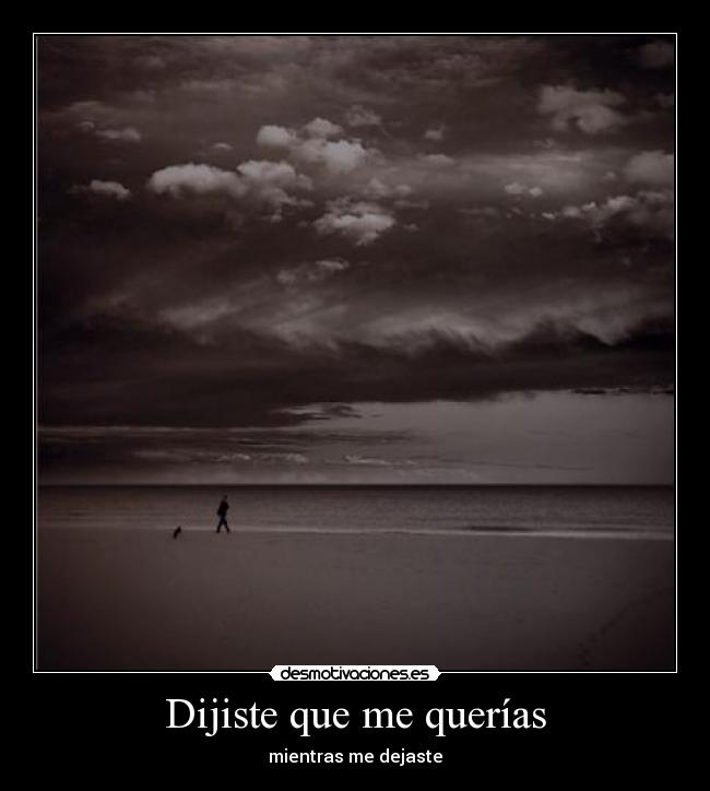 Dijiste que me querías -