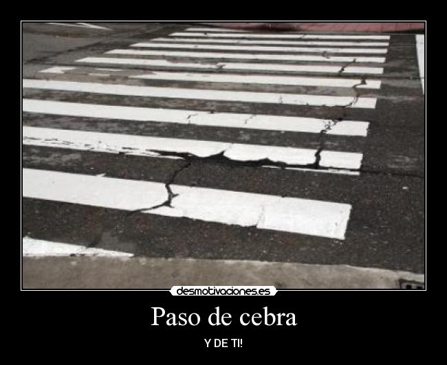 Paso de cebra - Y DE TI!