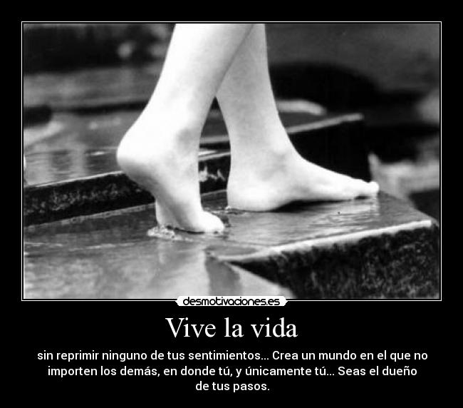 Vive la vida - 