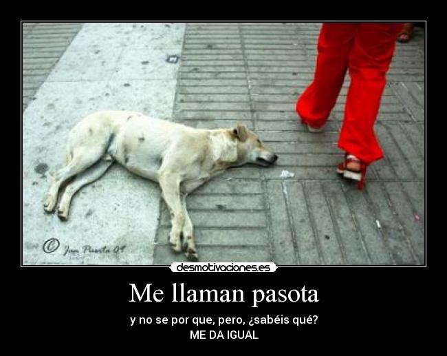 Me llaman pasota -