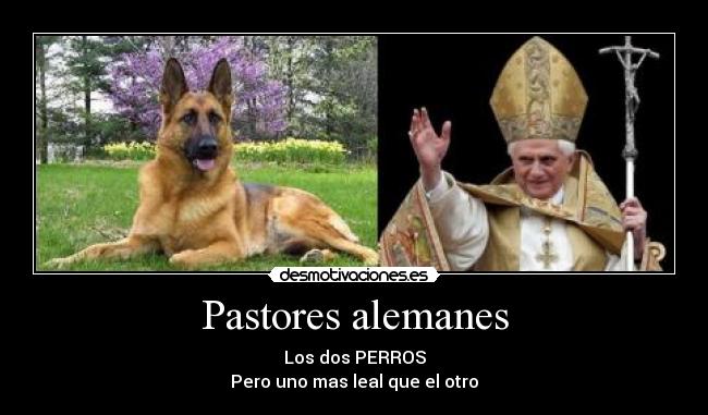 carteles desmotivaciones desmotivaciones