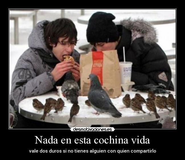 Nada en esta cochina vida - vale dos duros si no tienes alguien con quien compartirlo