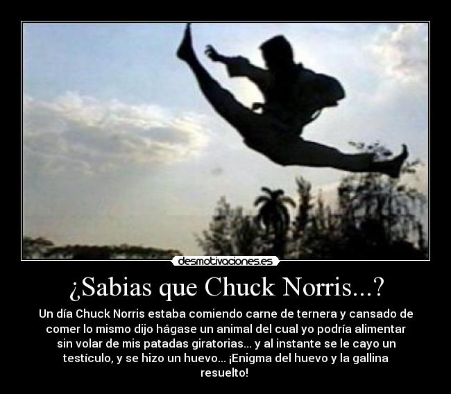 ¿Sabias que Chuck Norris...? - Un día Chuck Norris estaba comiendo carne de ternera y cansado de
comer lo mismo dijo hágase un animal del cual yo podría alimentar
sin volar de mis patadas giratorias... y al instante se le cayo un
testículo, y se hizo un huevo... ¡Enigma del huevo y la gallina
resuelto!