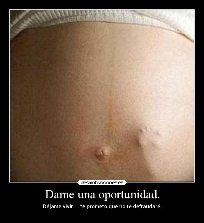 Dame una oportunidad. - Déjame vivir..... te prometo que no te defraudaré.