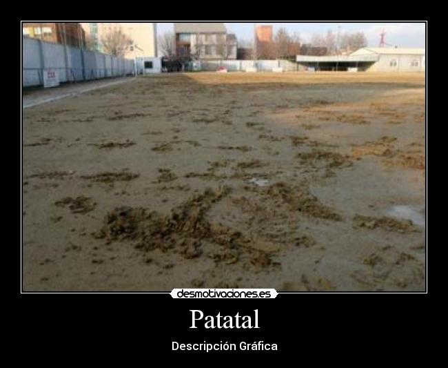 Patatal - Descripción Gráfica