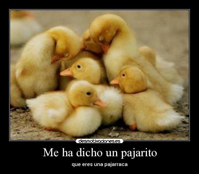 carteles kixking moloooo lololo fin desmotivaciones