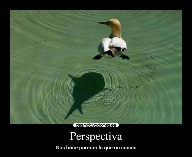 Perspectiva -