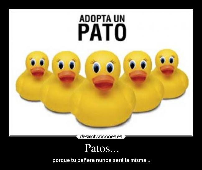 Patos... -