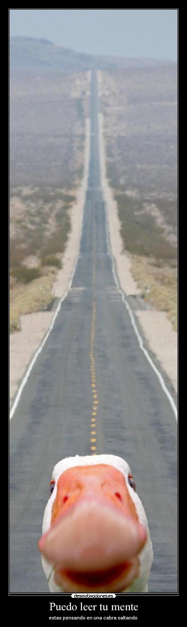 Puedo leer tu mente -