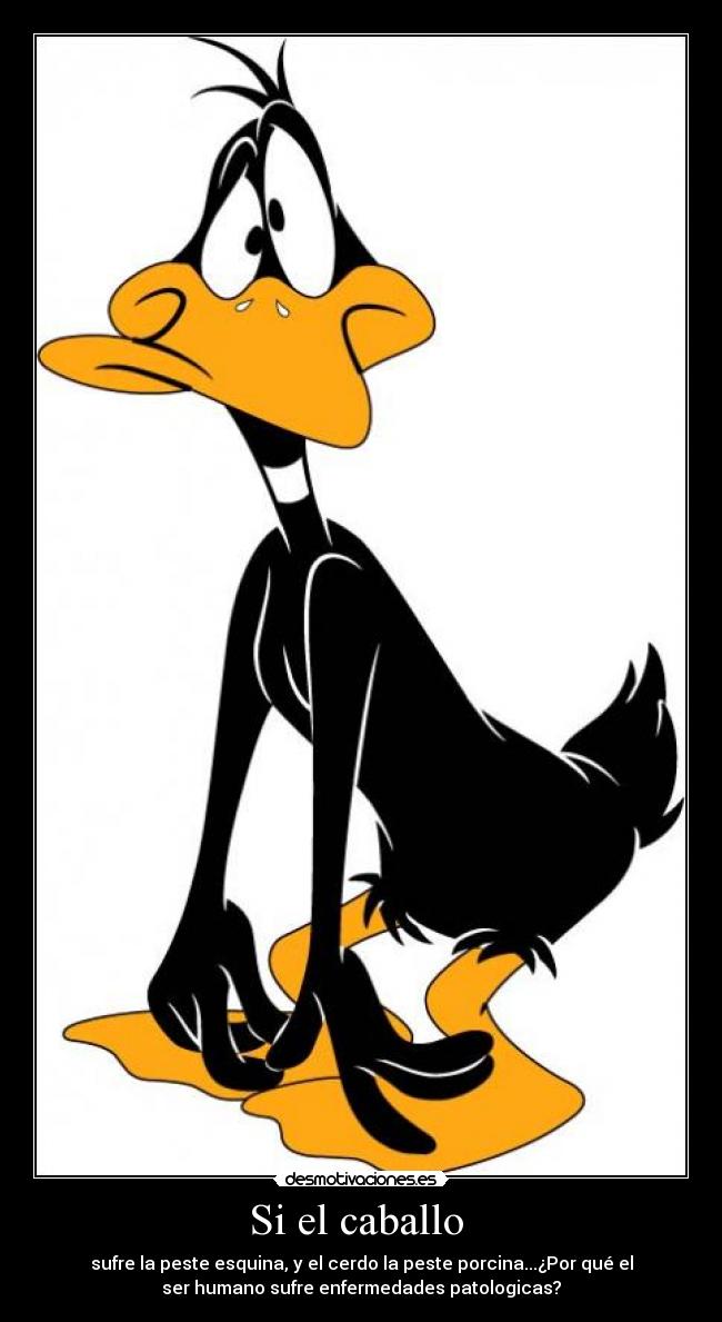 Si el caballo - sufre la peste esquina, y el cerdo la peste porcina...¿Por qué el
ser humano sufre enfermedades patologicas?