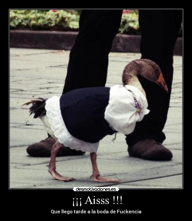 ¡¡¡ Aisss !!! - Que llego tarde a la boda de Fuckencia