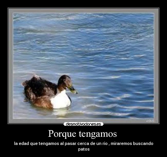 Porque tengamos - la edad que tengamos al pasar cerca de un rio , miraremos buscando patos