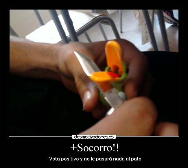 +Socorro!! - -Vota positivo y no le pasará nada al pato