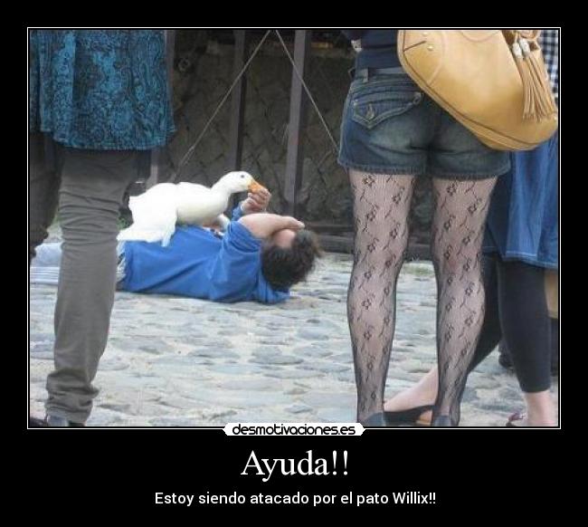 Ayuda!! - Estoy siendo atacado por el pato Willix!!
