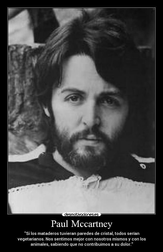 Paul Mccartney - Si los mataderos tuvieran paredes de cristal, todos serían
vegetarianos. Nos sentimos mejor con nosotros mismos y con los
animales, sabiendo que no contribuimos a su dolor.