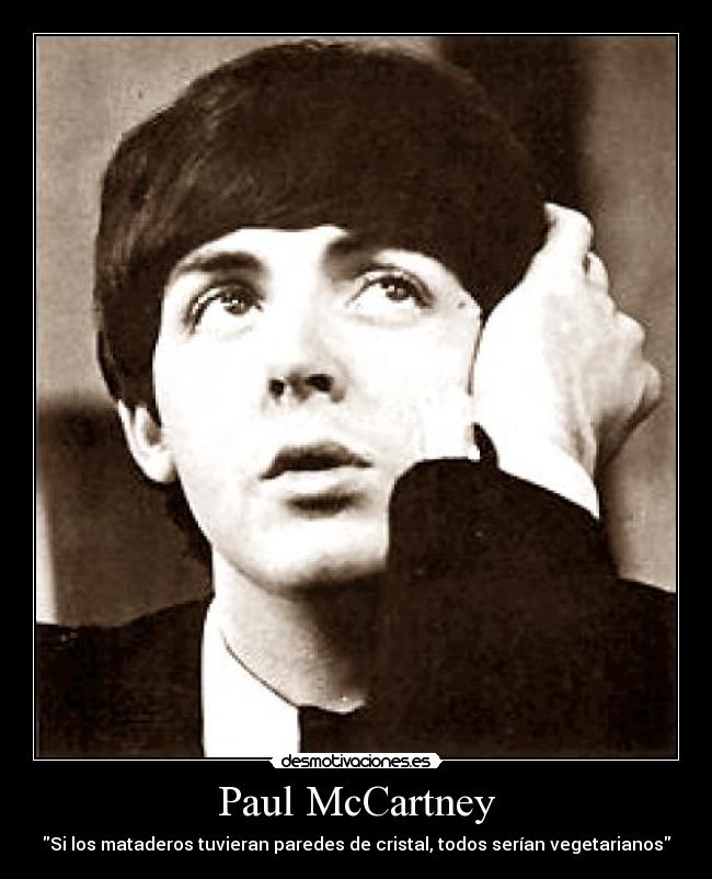 Paul McCartney -