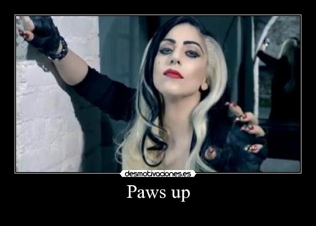 Paws up - 