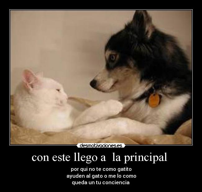 con este llego a la principal -