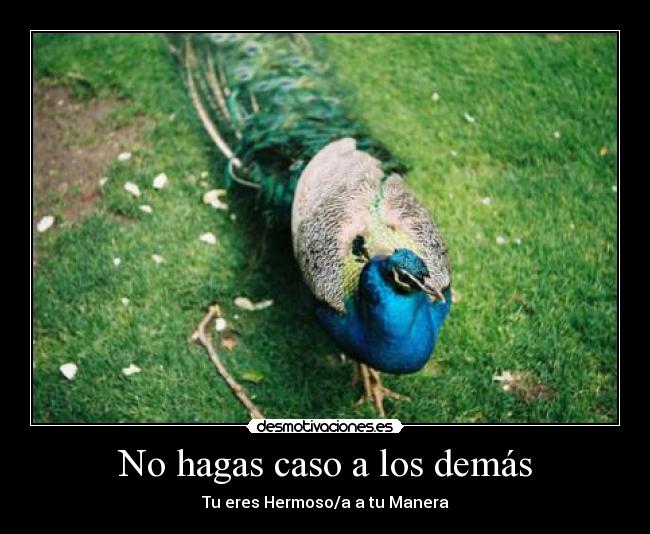 No hagas caso a los demás -