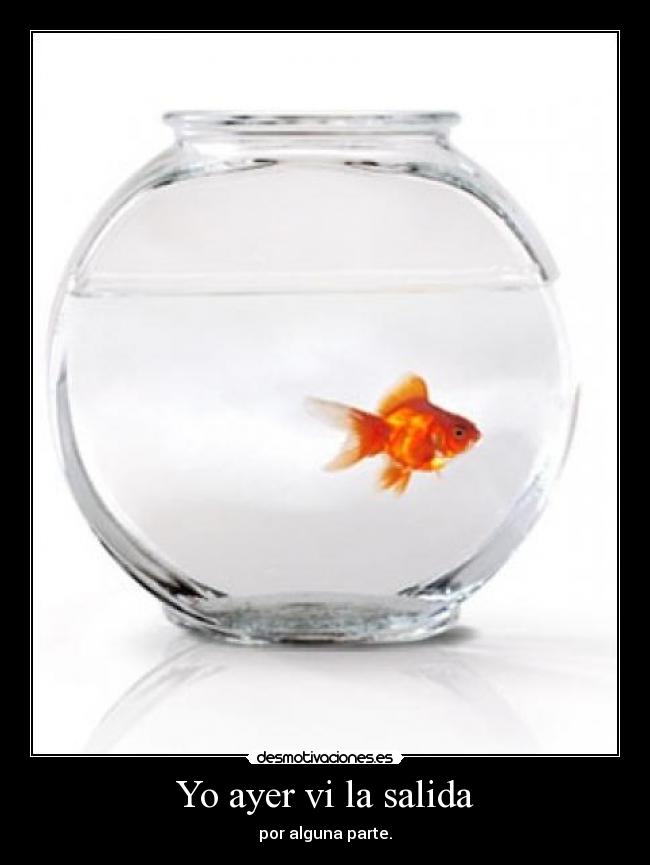 Yo ayer vi la salida - por alguna parte.