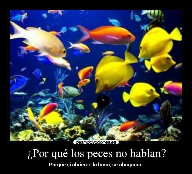 ¿Por qué los peces no hablan? - Porque si abrieran la boca, se ahogarían.