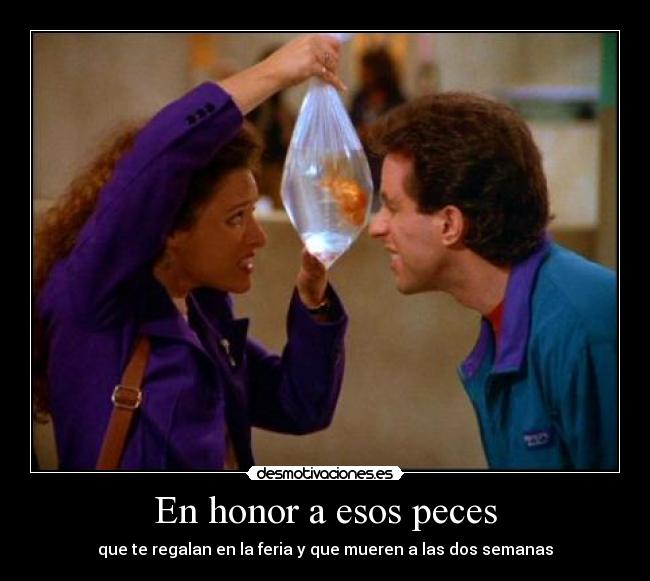 En honor a esos peces - 