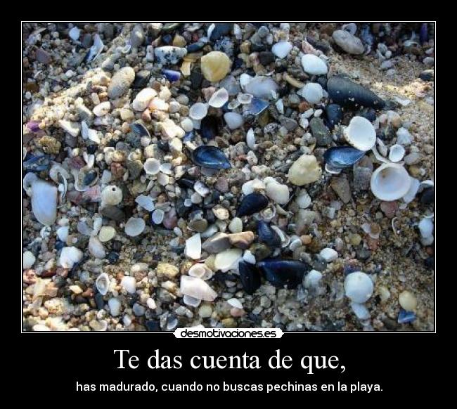 Te das cuenta de que, - has madurado, cuando no buscas pechinas en la playa.