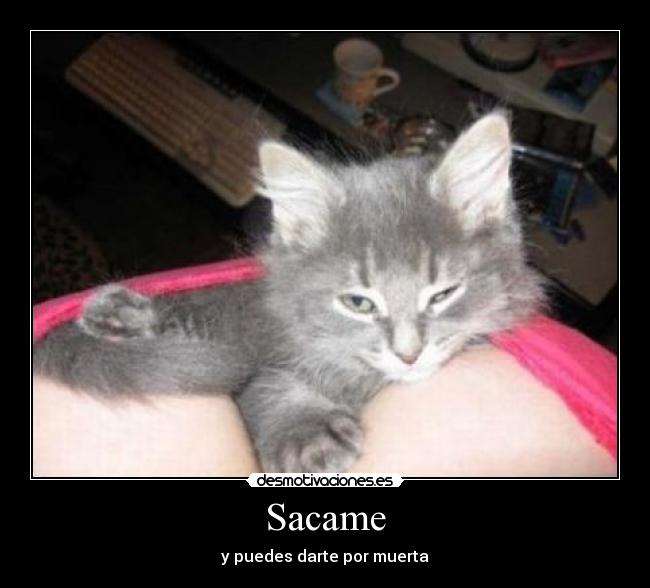 Sacame - y puedes darte por muerta