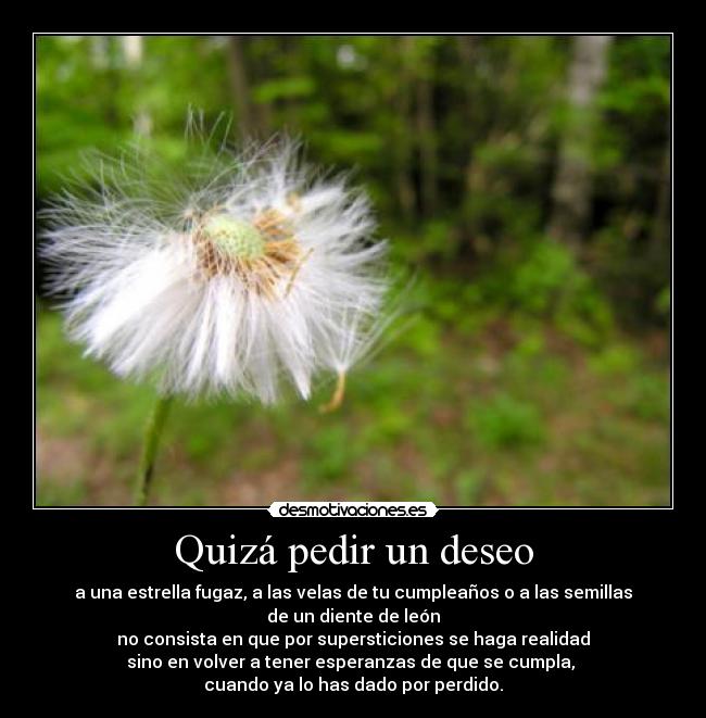 Quizá pedir un deseo - a una estrella fugaz, a las velas de tu cumpleaños o a las semillas de un diente de león
no consista en que por supersticiones se haga realidad
sino en volver a tener esperanzas de que se cumpla, 
cuando ya lo has dado por perdido.