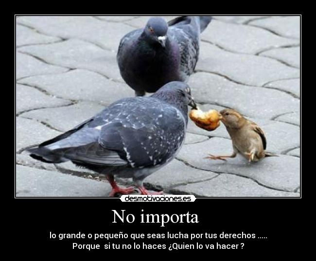 No importa  - 