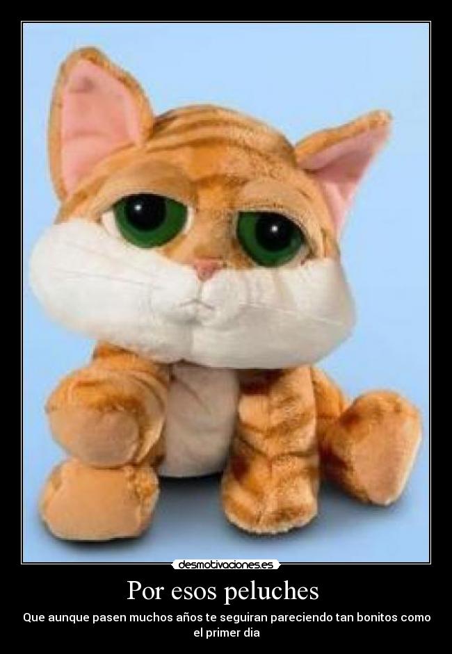 Por esos peluches  - 