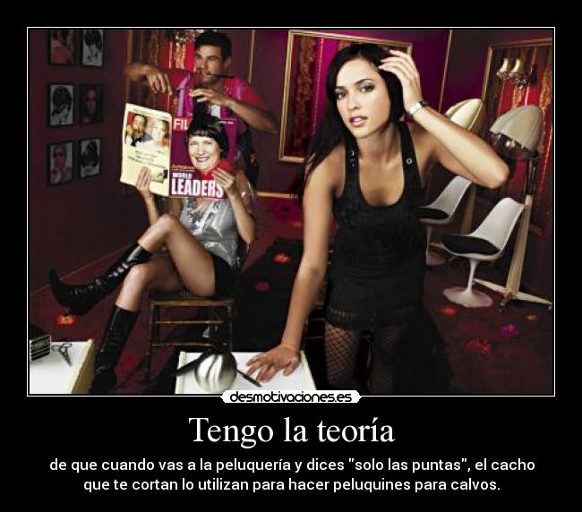 Tengo la teoría - de que cuando vas a la peluquería y dices solo las puntas, el cacho
que te cortan lo utilizan para hacer peluquines para calvos.