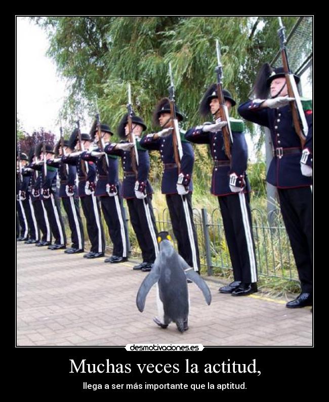 Muchas veces la actitud, - llega a ser más importante que la aptitud.