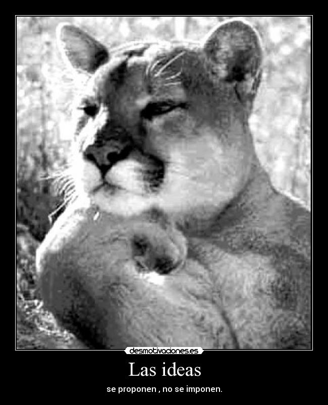 carteles ideas pam desmotivaciones