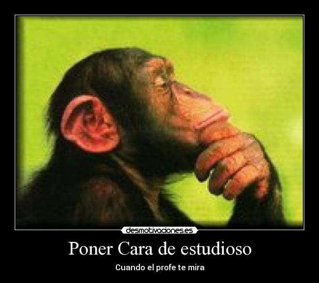 Poner Cara de estudioso -