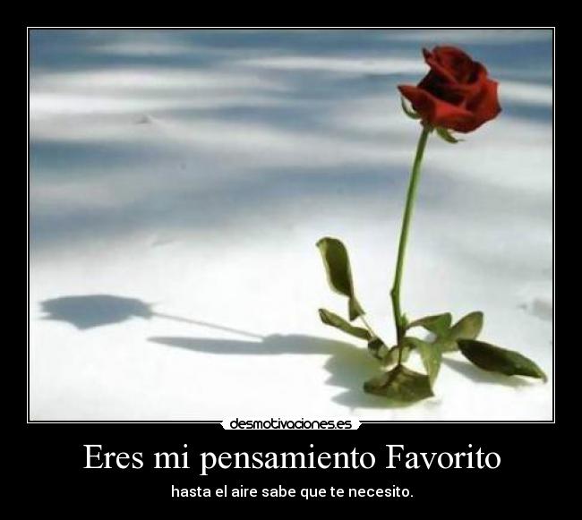 Eres mi pensamiento Favorito - 