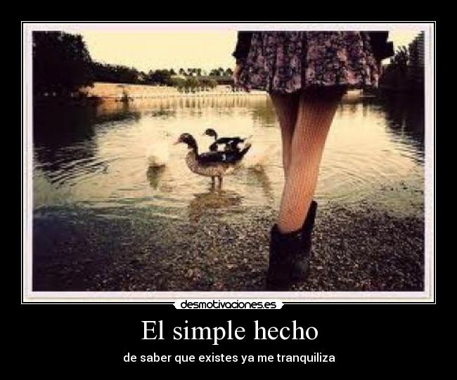 El simple hecho - 