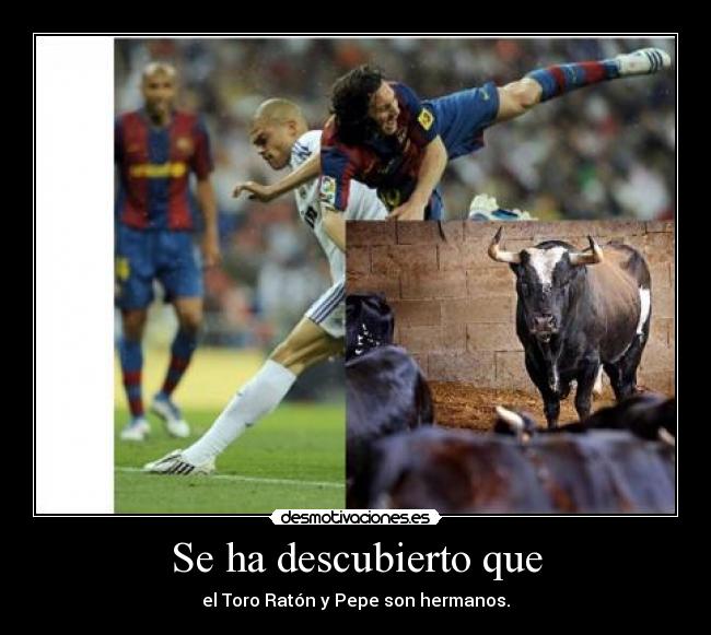 Se ha descubierto que - el Toro Ratón y Pepe son hermanos.