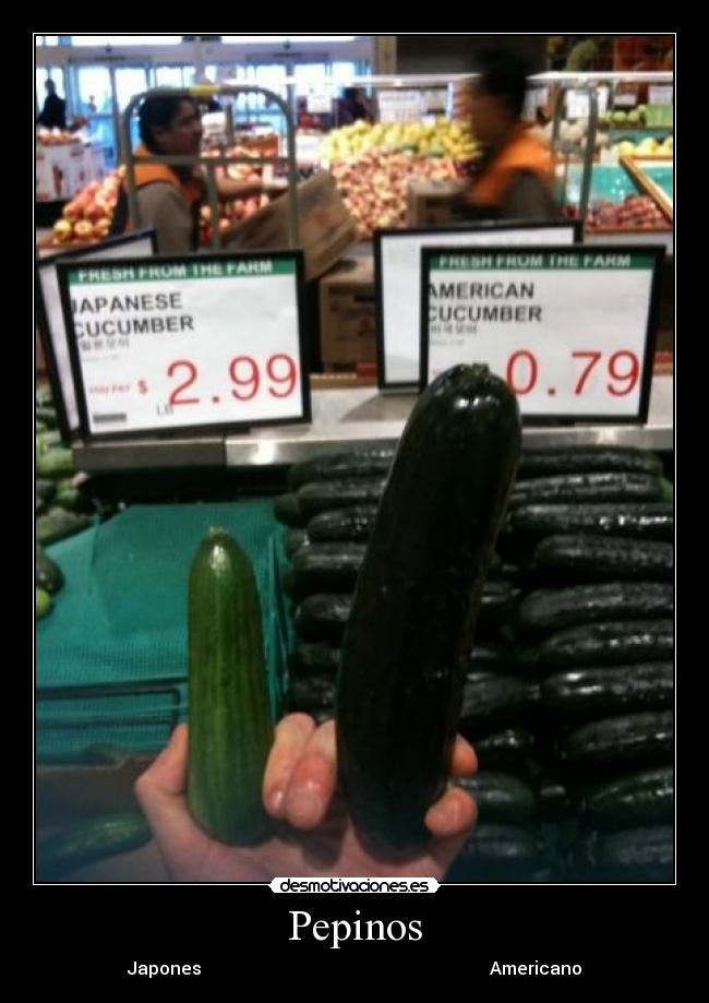 Pepinos - Japones Americano
