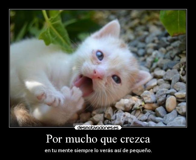 Por mucho que crezca - en tu mente siempre lo verás así de pequeño.